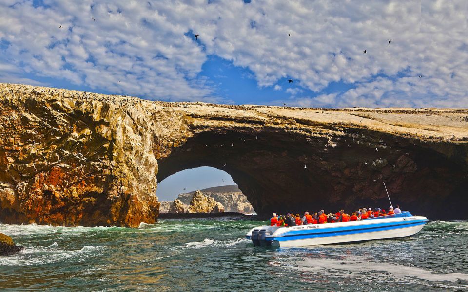 From San Martin Port: 2-Hour Ballestas Island - Experience Highlights