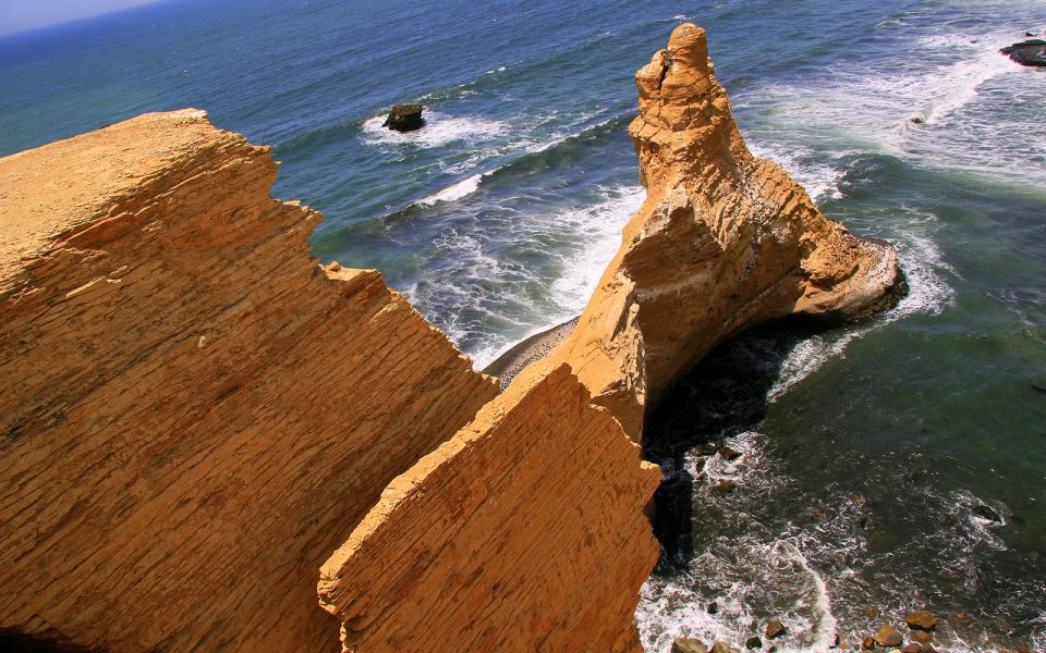 From San Martin Port: 3-Hour Paracas Reserve Tour - Reservation and Booking Details