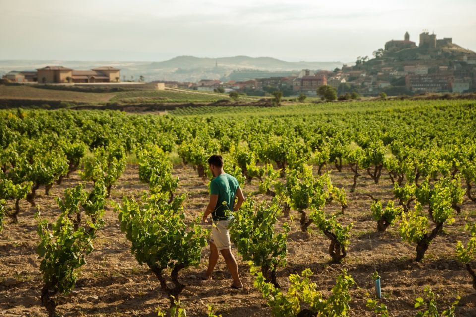 From San Sebastián: La Rioja Wine Region Day Tour - Activity Details