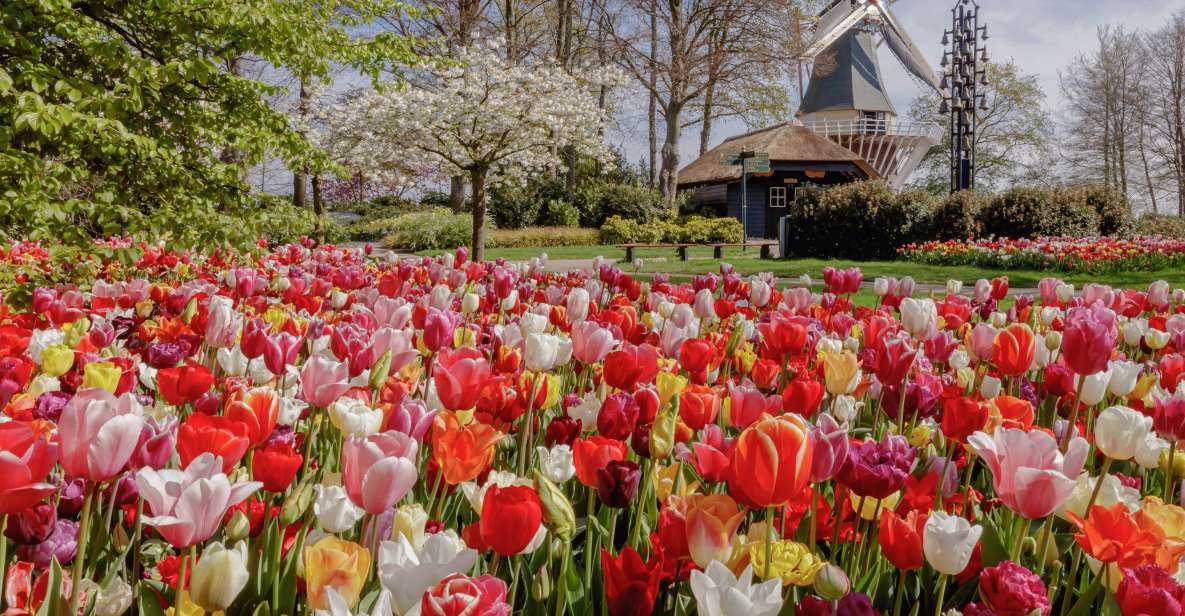 From Schiphol Airport: Keukenhof Entry and Public Bus Ticket - Experience Highlights