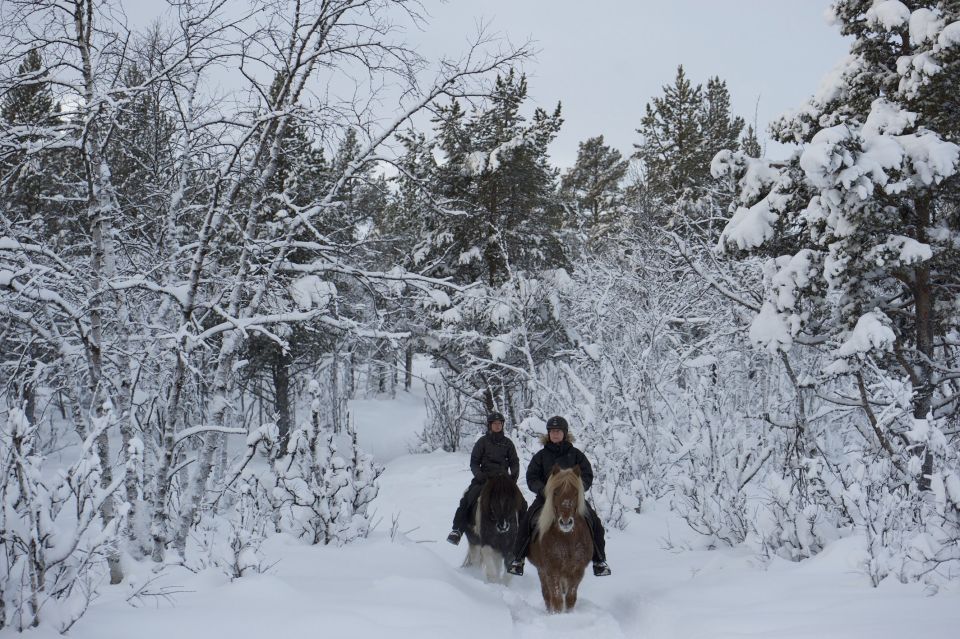 From Sirkka: Guided Wilderness Horse Riding Experience - Experience