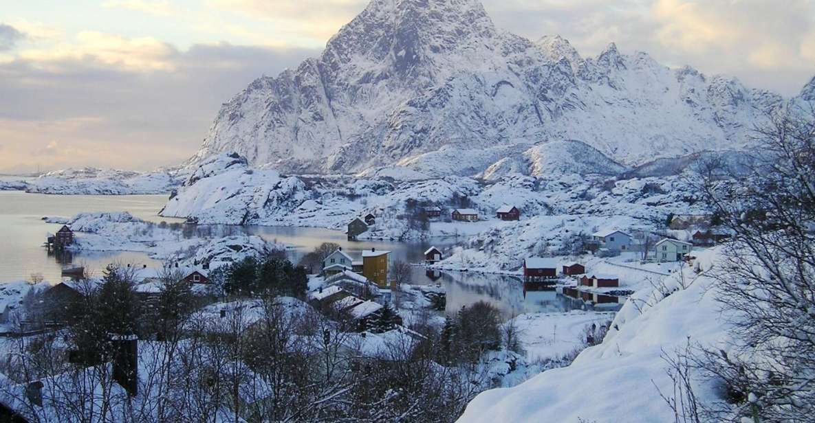 From Svolvaer: Lofoten Islands Tour With Photographer Guide - Activity Details