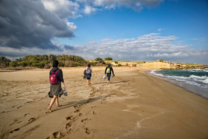 From Syracuse: Vendicari Natural Reserve - Activities at the Reserve