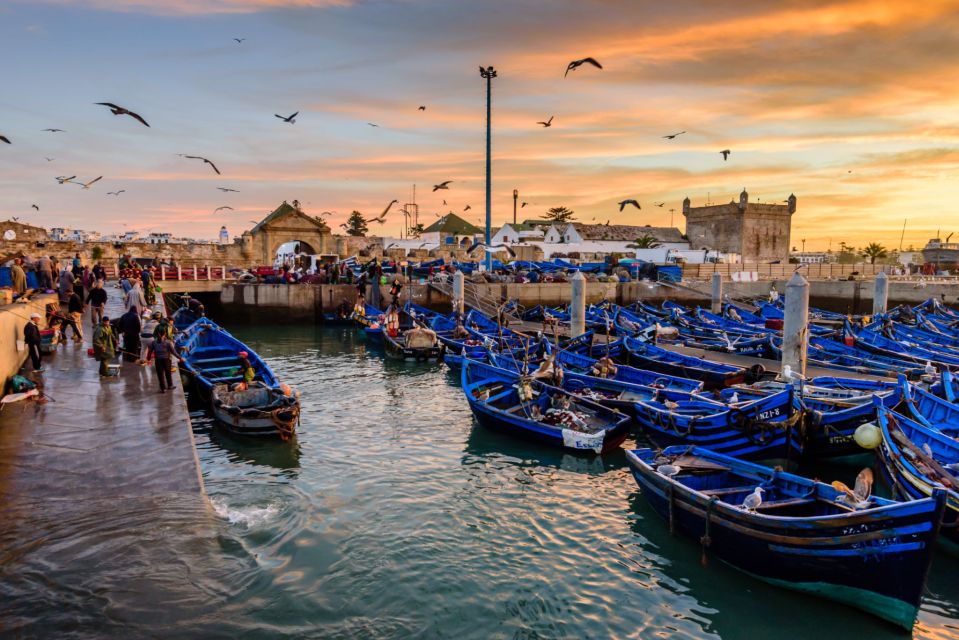 From Taghazout: Medina of Essaouira Guided Day Trip - Experience Offered