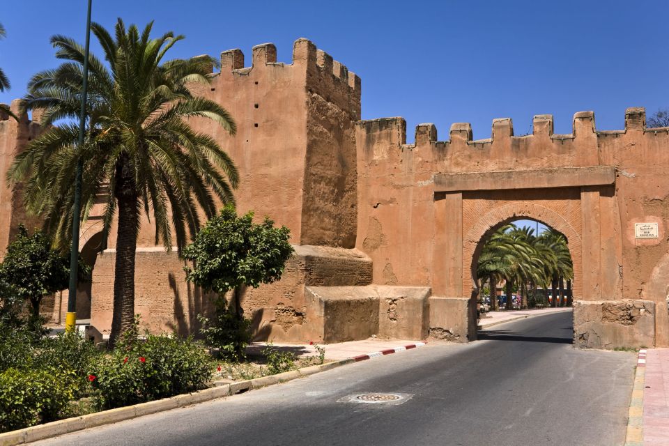 From Taghazout: Taroudant and Tiout Oasis Guided Tour - Experience Highlights