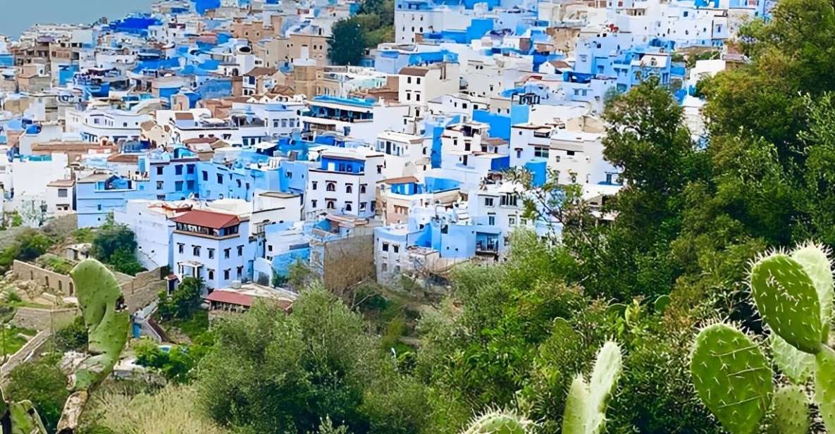 From Tangier: Chefchaouen Private Day Tour - Experience Highlights