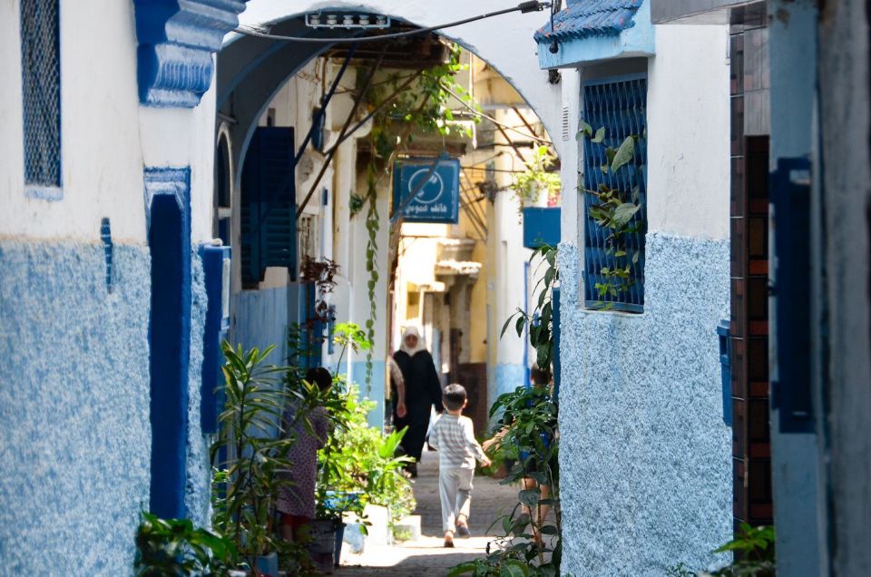 From Tangier: Day Trip to Chefchaouen and Akchour Waterfalls - Highlights