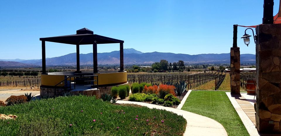 From Tijuana: Valle De Guadalupe Private Winery Tour - Experience Highlights