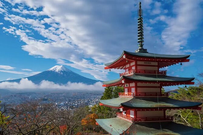 From Tokyo: Mt. Fuji Sightseeing Private Tour With English Guide - Customer Reviews