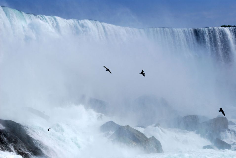 From Toronto: Niagara Falls Day Trip - Experience Highlights