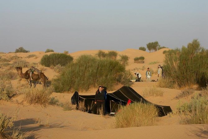 From Tozeur: 3-Day Desert Trip - Cultural Immersion Activities