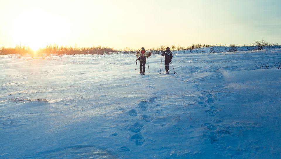 From Tromsø: Guided Husky Snowshoe Hike and Husky Camp Visit - Location and Duration