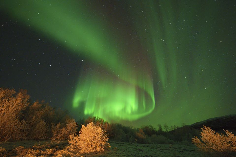 From Tromsø: Guided Northern Lights Photo Chase - Experience Highlights