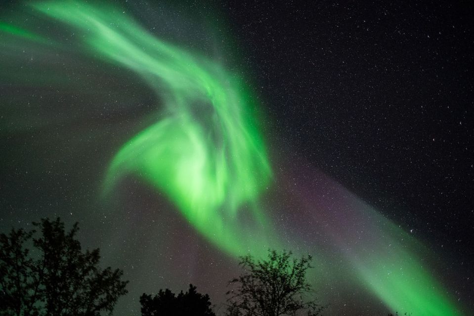 From Tromsø: Northern Lights Chase by Boat - Important Information