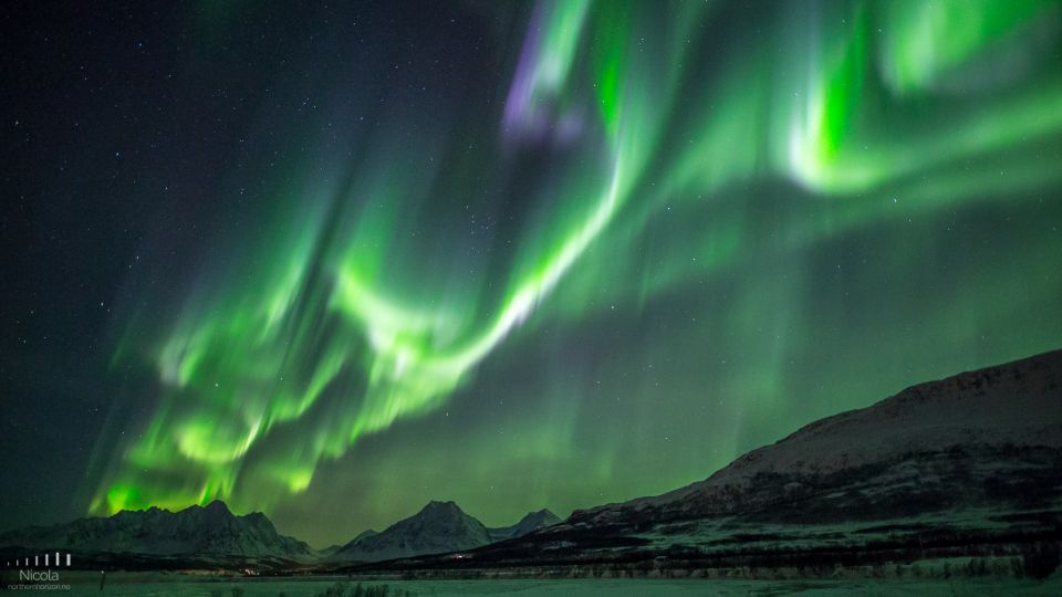 From Tromsø: Northern Lights Tour - Small Group Experience