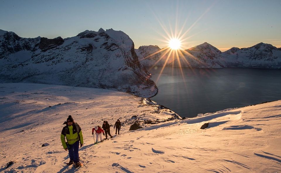 From Tromso: Small-group Snowshoeing Tour - Experience Highlights