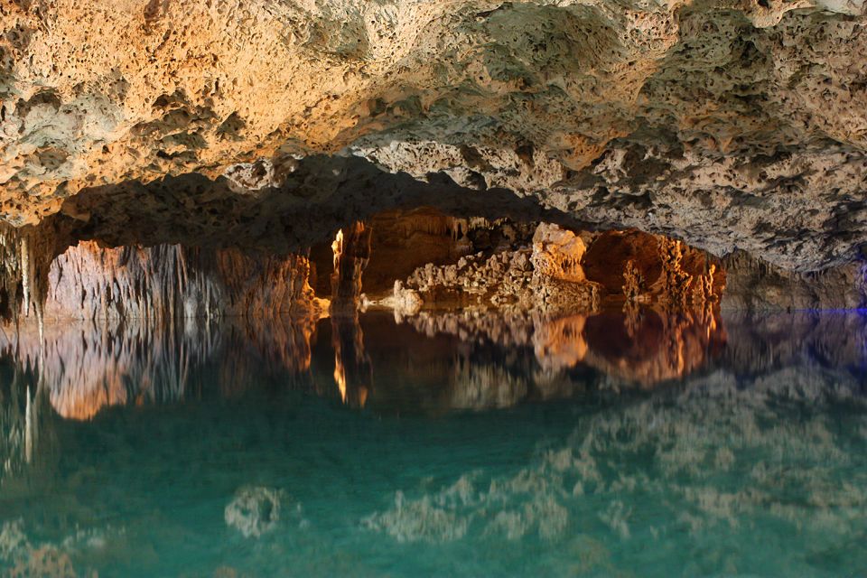 From Tulum: ATV Ride With Monkey Sanctuary and Cenote Trip - Booking Information