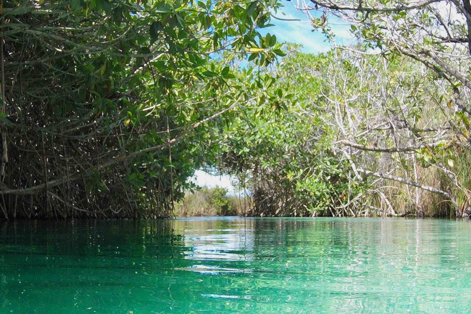 From Tulum: Sian Ka'An Muyil Lagoon Tour - Experience Highlights and Exploration