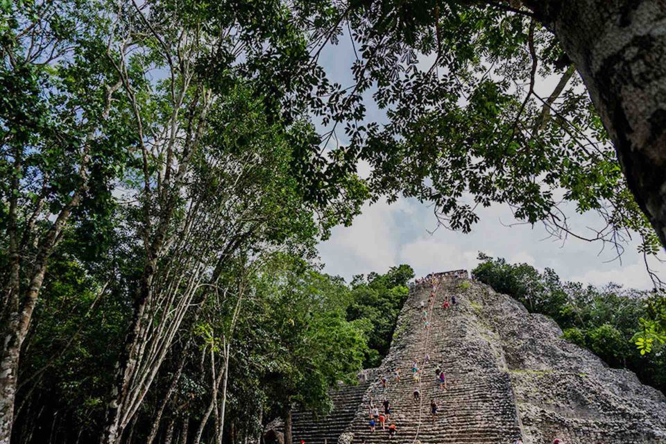 From Tulum: Temazcal & Cenote Private Experience - Experience Highlights