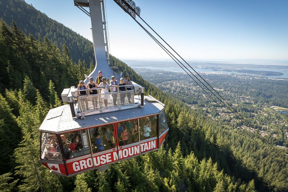 From Vancouver: Capilano Suspension Bridge & Grouse Mountain - Experience Highlights