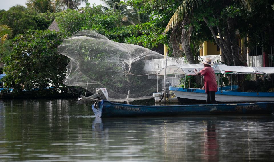 From Veracruz: Nature & Seafood Boat Tour to Madinga - Experience Highlights