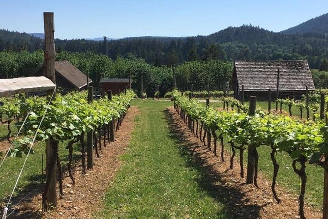 From Victoria to Cowichan Wine 6-Hour Guided Tour - Last Words
