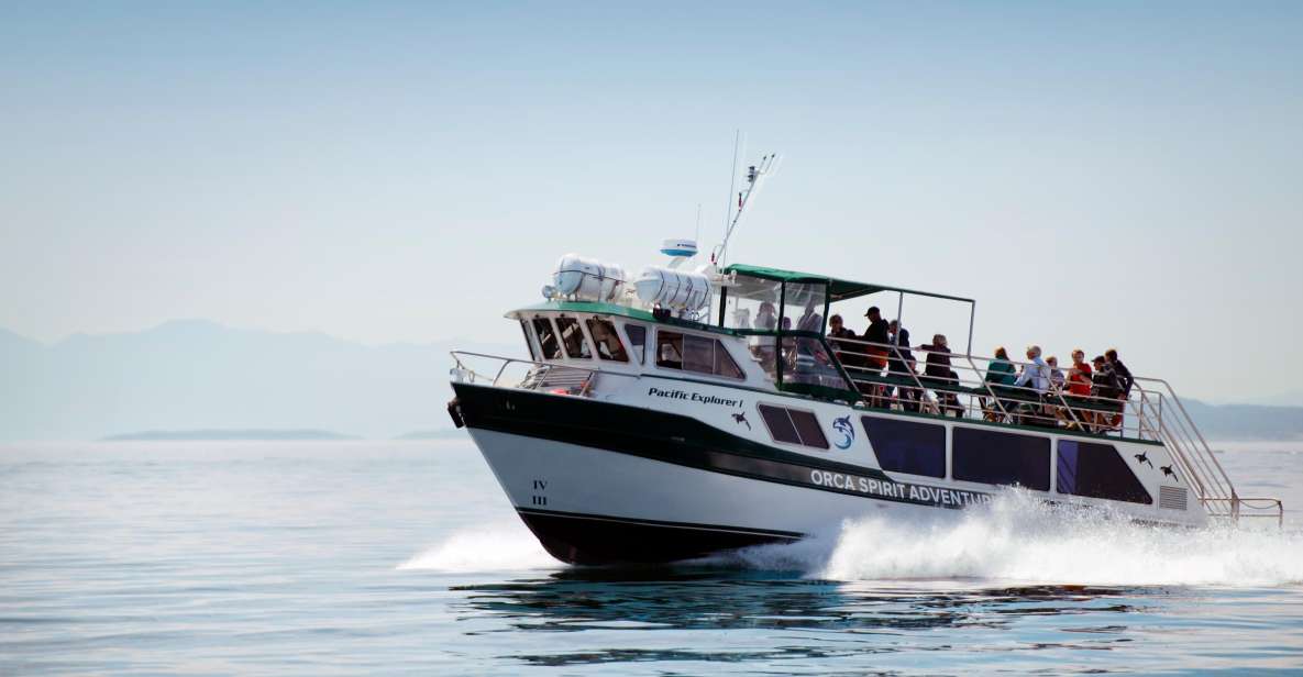 From Victoria: Whale Watching 3-Hour Trip on Covered Boat - Experience Highlights