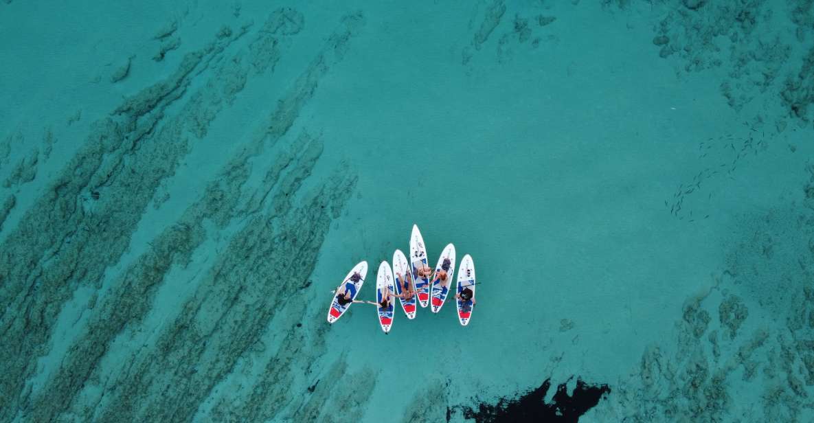 From Zadar: Dugi Otok Guided Paddle Board Tour - Experience Highlights