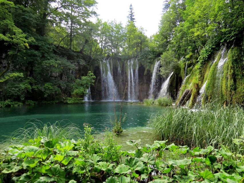 From Zagreb to Zadar: Plitvice Lakes Private Tour - Tour Experience