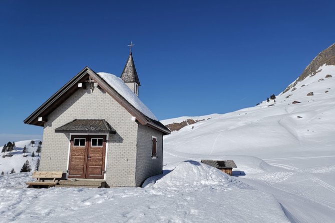 From Zurich: Private Snow Hike, Mountains and Chocolate Daytrip - Local Cuisine Tastings