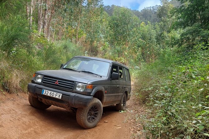 Full Day 4x4 Jeep Safari in Porto Moniz - Itinerary