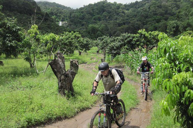 Full-Day Advanced XC Downhill Biking at Doi Suthep National Park Chiang Mai - Inclusions