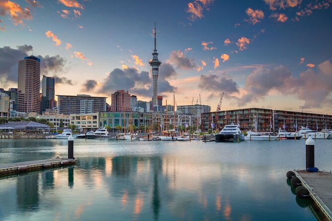 Full-day Auckland City & Rainforest Tour by Car - Inclusions and Exclusions