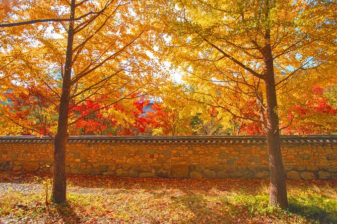 Full-Day Autumn Tour From Busan to Unmunsa Bhikkhuni Temple - Location and Duration