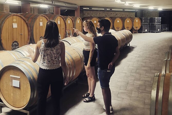 Full Day Barolo&Barbaresco Wine Tour From Torino With a Local Winemaker - Logistics Details