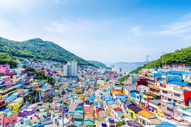 Full-Day Busan Highlights Private Guided Tour - Tour Inclusions
