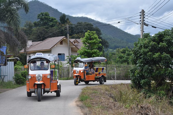 Full Day Chauffeur Driven Tuk Tuk Adventure in Chiang Mai Including Rafting - Group Size and Interactions