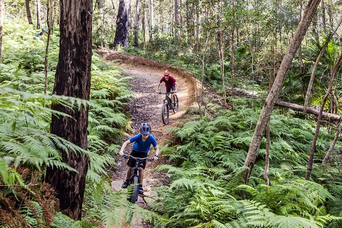 Full Day E Mountain Bike and Kayak in Noosa - Expert Guides