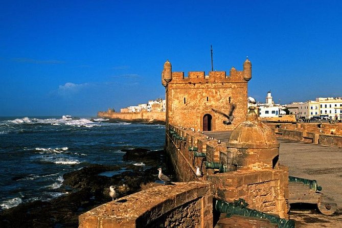 Full-Day Essaouira Excursion From Agadir - Traveler Experiences