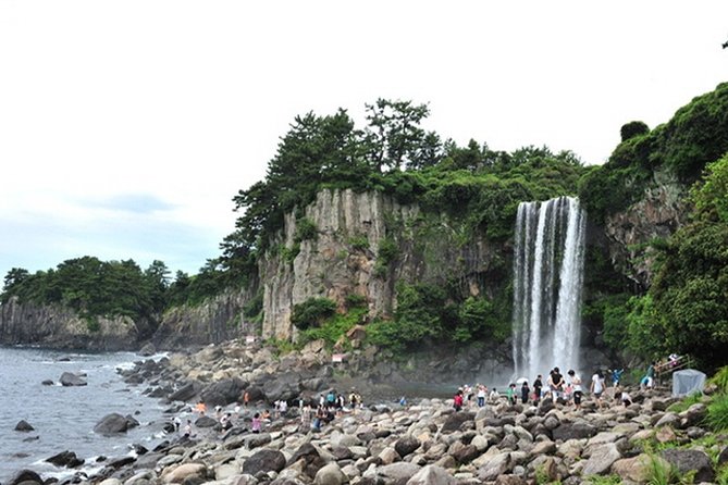 Full Day Essential Jeju Island Private Tour for West Course - Visual Insights and Reviews