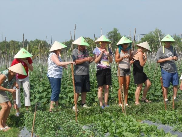 Full-Day Farming & Cooking Class at Agricultural Village - Experience Highlights