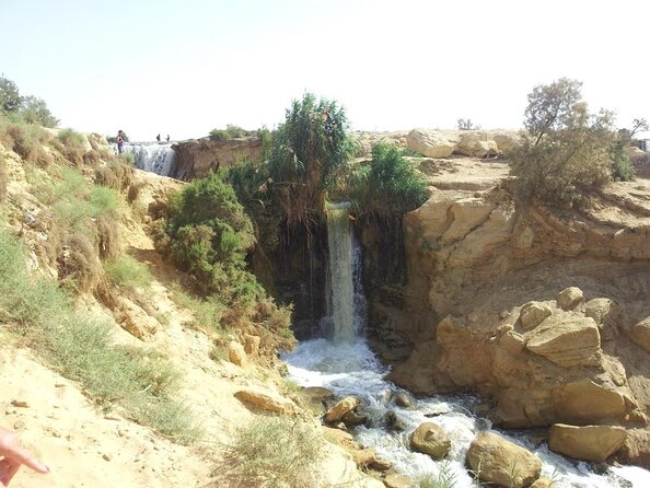 Full-Day Fayoum Oasis and Waterfalls of Wadi El-Rayan Tour From Cairo - Memorable Experiences Shared