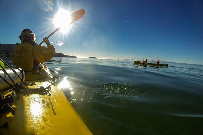 Full-Day Freedom Kayak Rental in New Zealand - Participant Information