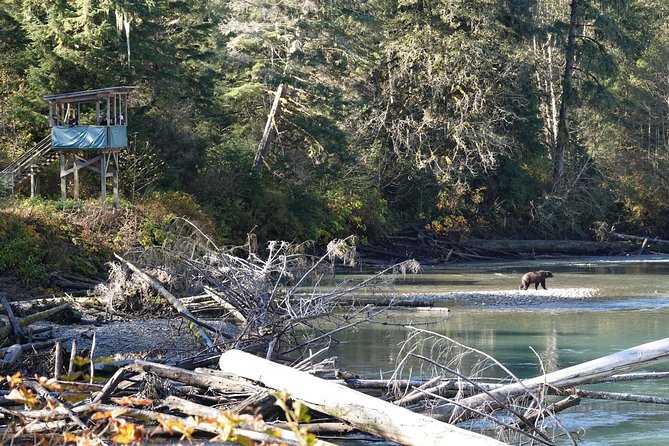 Full Day Grizzly Bear Tour to Bute Inlet - Provided Amenities