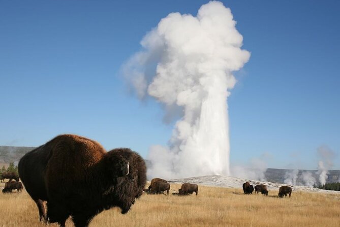 Full-Day Guided Yellowstone Day Tour - Logistics Details