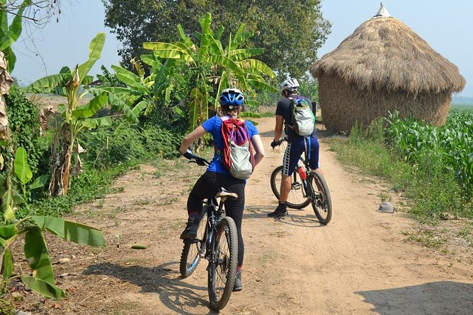 Full-Day Hike and Bike Tour From Chiang Mai - Tour Activities