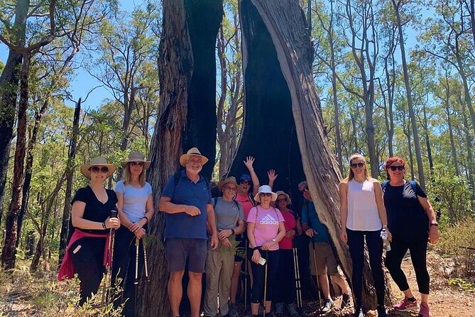 Full-Day Hiking, Wine Tasting & Dining Experience in Dwellingup - Wine Tasting at Local Vineyards