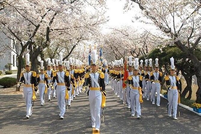 Full-Day Jinhae Cherry Blossom Festival Private Tour - Pickup Services Information