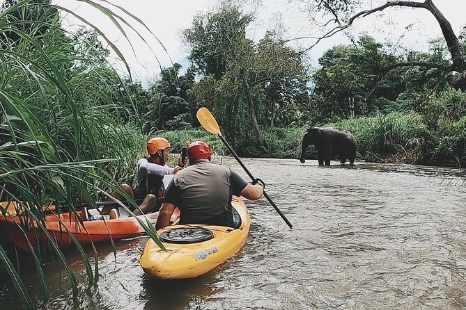 Full-Day Jungle Kayak Mae Wang Rock Hopper Trip From Chiang Mai - Logistics and Pickup Details