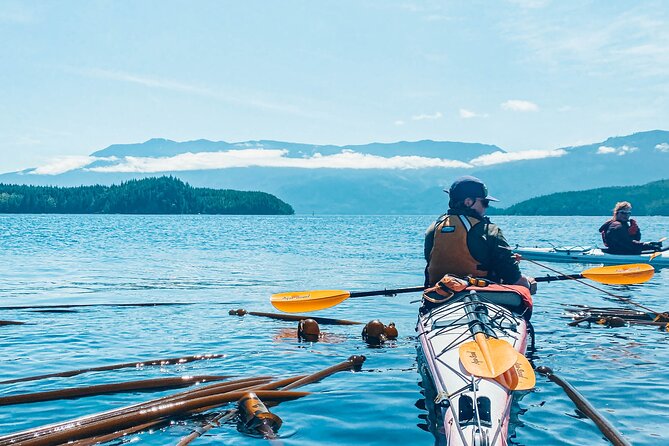 Full Day Kayaking Adventure on Vancouver Island - Cancellation Policy